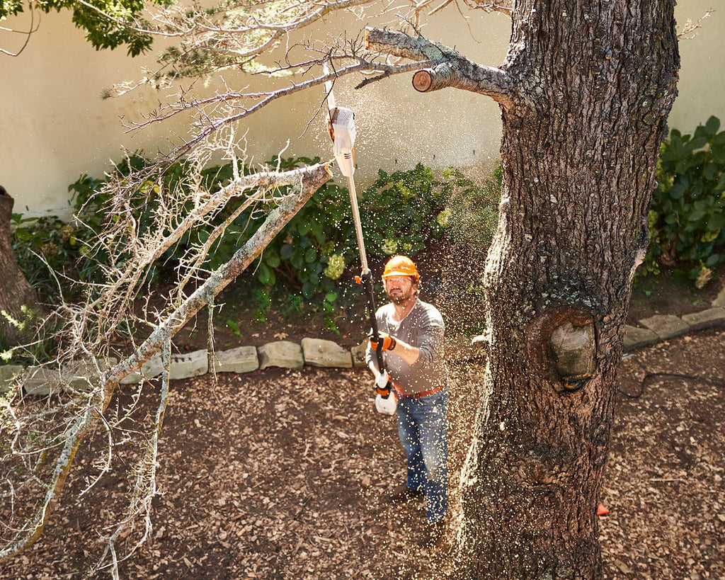 STIHL HTA50 Cordless Pole Pruner