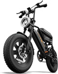 Fat Tire Electric Bike for Adults, 48V 13Ah Removable Battery, 250W Brushless Motor E-Bike with Dual Suspension