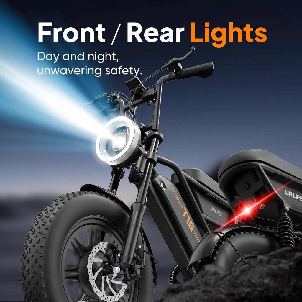 Fat Tire Electric Bike for Adults, 48V 13Ah Removable Battery, 250W Brushless Motor E-Bike with Dual Suspension